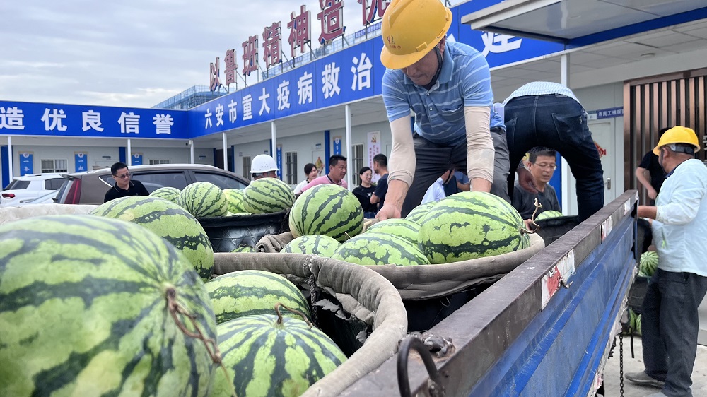 管家婆免费资料网站